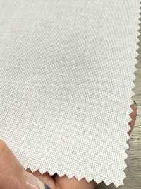 1650N Baumwoll-Polyester-Hartfutter, Nicht Schmelzbar[Einlage] Kein Name Unterfoto