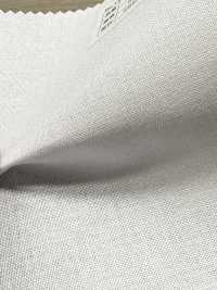 P1650N Baumwoll-Polyester-Punktkern[Einlage] Kein Name Unterfoto