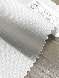 5510P Polyester Hartmaterial Punktkern[Einlage] Kein Name Unterfoto