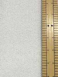 5510P Polyester Hartmaterial Punktkern[Einlage] Kein Name Unterfoto