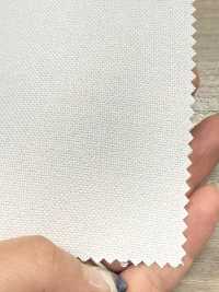 5510P Polyester Hartmaterial Punktkern[Einlage] Kein Name Unterfoto