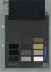 1038634 EVALET® Slub Butcher[Textilgewebe] TAKISADA NAGOYA Unterfoto