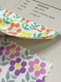 850546 Rasen-Donut-Blume[Textilgewebe] VANCET Unterfoto