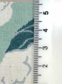 850553 Ungebleichter Oxford-Baumwoll-Blumenkohl[Textilgewebe] VANCET Unterfoto