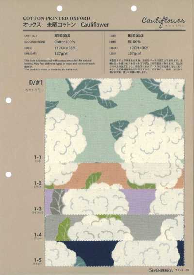 850553 Oxford ungebleichte Baumwolle Blumenkohl