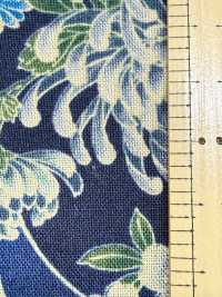 850561 Rasen-Indigo-Färbestil, Japanisches Muster, Wolkenmeer Und Fächerchrysanthemen[Textilgewebe] VANCET Unterfoto