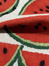 850594 Leinen-Canvas Wassermelone[Textilgewebe] VANCET Unterfoto