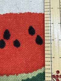 850594 Leinen-Canvas Wassermelone[Textilgewebe] VANCET Unterfoto