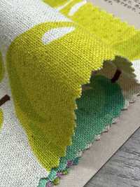 850595 Leinen Leinen Canvas Birne[Textilgewebe] VANCET Unterfoto