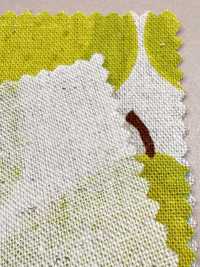 850595 Leinen Leinen Canvas Birne[Textilgewebe] VANCET Unterfoto