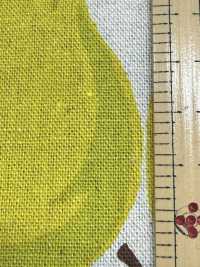 850595 Leinen Leinen Canvas Birne[Textilgewebe] VANCET Unterfoto