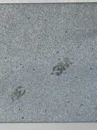 M-8912-PKK M-8912 Scotchlite Pinking Piping[Bandbandschnur] STAR BRAND (Hoshika) Unterfoto