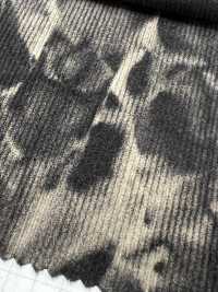 DCL445-SF 21W Mijinkoruten Decolore[Textilgewebe] Kumoi Beauty Unterfoto