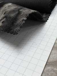 DCL445-SF 21W Mijinkoruten Decolore[Textilgewebe] Kumoi Beauty Unterfoto