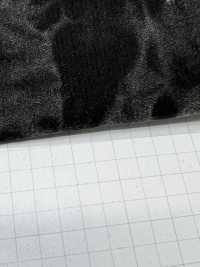 DCL445-SF 21W Mijinkoruten Decolore[Textilgewebe] Kumoi Beauty Unterfoto