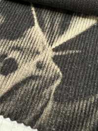 DCL755-SF 16W Cord Verziert[Textilgewebe] Kumoi Beauty Unterfoto