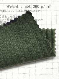 SBC1950 5W Cord, Sonnengetrocknete Waschung[Textilgewebe] SHIBAYA Unterfoto