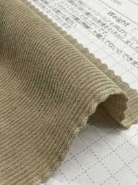 SBC4040 21W Hemd Aus Cord, Trockenwasch-Ausführung[Textilgewebe] SHIBAYA Unterfoto