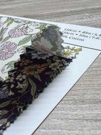 AP62802 Airtan Flower Broadcloth (Rundrolle)[Textilgewebe] COSMO TEXTILE Unterfoto