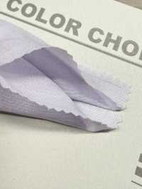 B1030Z 60 Einzelfaden-Kamm-Rasen[Textilgewebe] VANCET Unterfoto