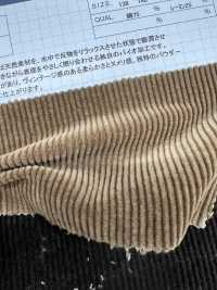 ND7035 Baumwoll-/Modal-Cord 9W, Nidom Bio-verarbeitet[Textilgewebe] Kumoi Beauty Unterfoto