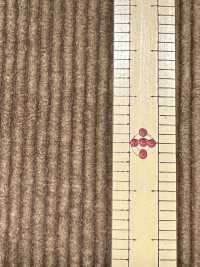 ND7035 Baumwoll-/Modal-Cord 9W, Nidom Bio-verarbeitet[Textilgewebe] Kumoi Beauty Unterfoto