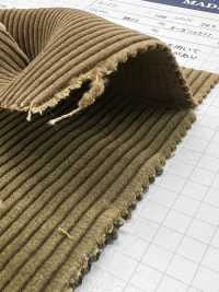 ND7025 Shankar 9W Bio-Cord, Bioverarbeitet[Textilgewebe] Kumoi Beauty Unterfoto