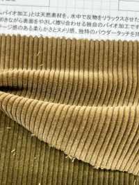 ND7025 Shankar 9W Bio-Cord, Bioverarbeitet[Textilgewebe] Kumoi Beauty Unterfoto