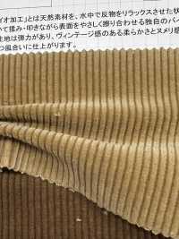 ND7005 9W Cord Mit Nidom Bio-Verarbeitung[Textilgewebe] Kumoi Beauty Unterfoto