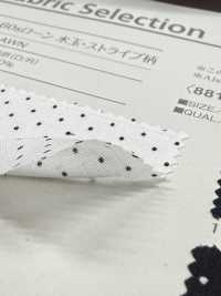 B88191Z 60-Faden-Baumwollstoff, Punkt-/Streifenmuster, Halb Gefaltet[Textilgewebe] VANCET Unterfoto