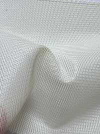 T4001S Queen's Cord[Textilgewebe] Unterfoto