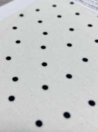 KKP8036-W-SB-321 BR×SD100d Jersey Weite[Textilgewebe] Uni Textile(Komon Studio) Unterfoto