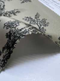 KKP8460-58-SB-251 75d Breit Satin[Textilgewebe] Uni Textile(Komon Studio) Unterfoto