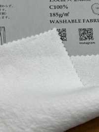 BF6320 Vorgefärbtes Viyella-Garn Mit 20 Fäden Und Waschfinish.[Textilgewebe] KOYAMA Unterfoto