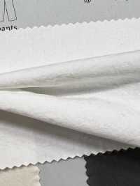 BF4040 Vorgefärbter 40er-Breitstoff Mit Waschfinish[Textilgewebe] KOYAMA Unterfoto