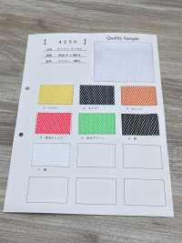 4250 [Beschichtung] Unterfoto