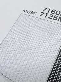 7160M [Beschichtung] Unterfoto