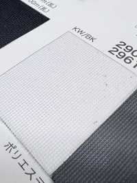 2900 [Beschichtung] Unterfoto