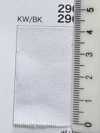 2961 [Beschichtung] Unterfoto