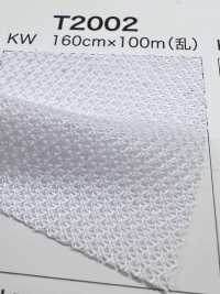 T2002 [Beschichtung] Unterfoto