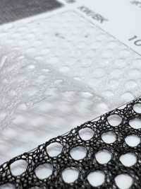 7070H [Beschichtung] Unterfoto