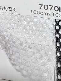 7070H [Beschichtung] Unterfoto