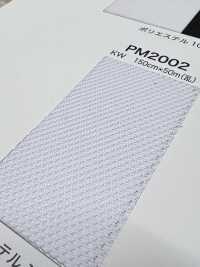 PM2002 [Beschichtung] Unterfoto