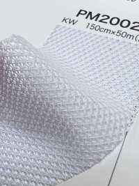 PM2002 [Beschichtung] Unterfoto