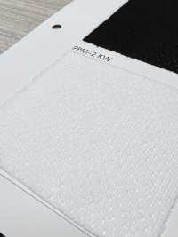 PPM-2 [Beschichtung] Unterfoto