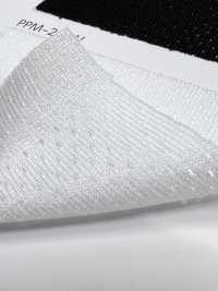 PPM-2 [Beschichtung] Unterfoto