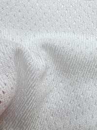 PPM-2 [Beschichtung] Unterfoto