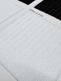 PPM-4 [Beschichtung] Unterfoto