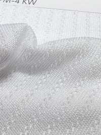 PPM-4 [Beschichtung] Unterfoto