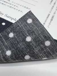 1930-DOT Takashima Chijimi Stoff, Polka Dot Muster[Textilgewebe] Unterfoto